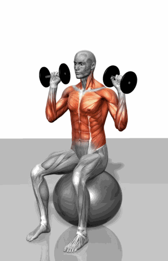 "啞鈴健身動作，鍛煉身體不同部位的肌肉！"