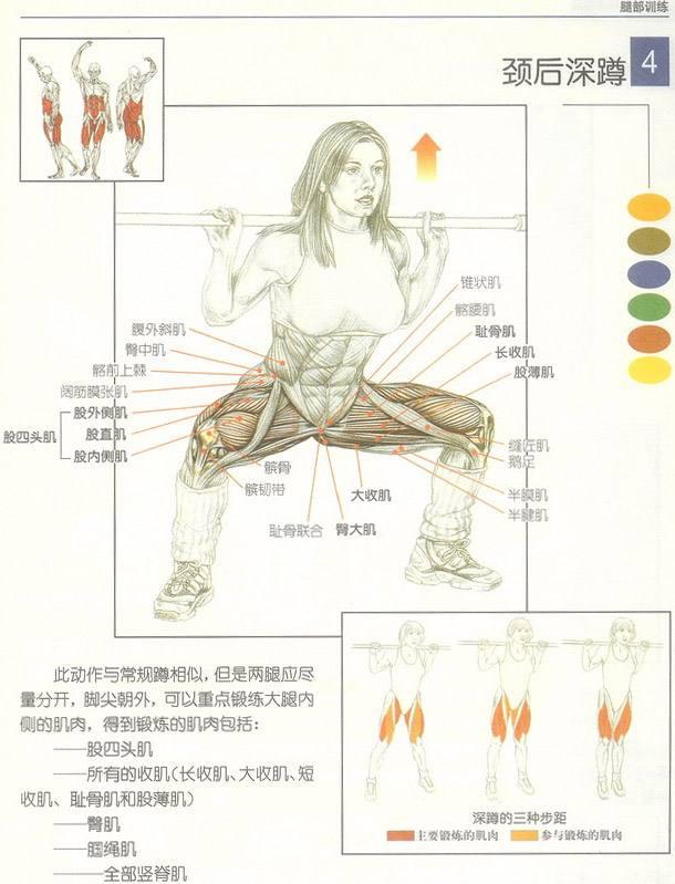 "每天堅持深蹲——1個月後身體發生改變"
