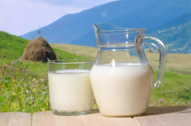 震驚！脫脂牛奶越喝越容易導致發胖？ ！