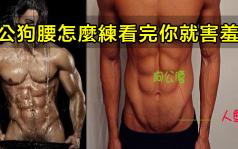 公狗腰是怎麽練出來的？看完你就害羞了~