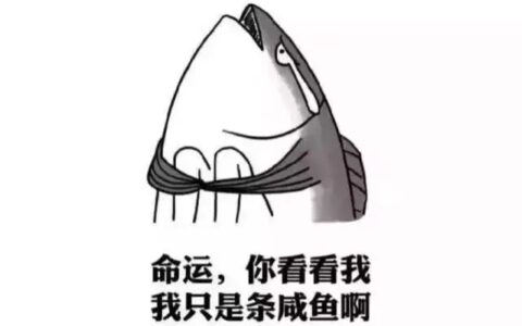 "減肥期怎麼吃？選擇這些低脂食物！"