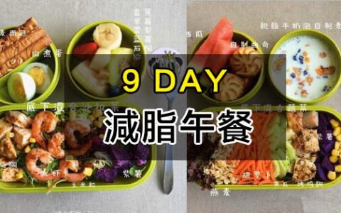 9天的減脂午餐搭配