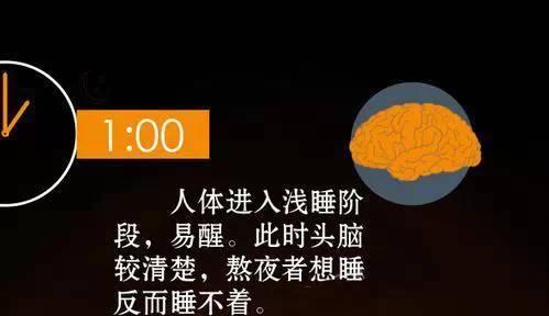 "人體24小時使用手冊，這樣的作息才健康"