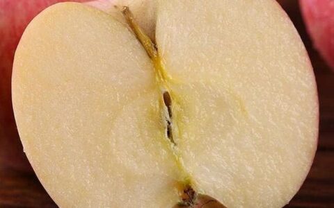 "只吃水果的減肥法？會讓你變易胖體質！"