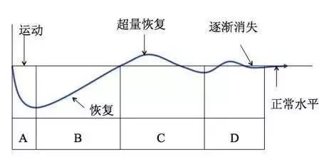 "健身常用名詞解釋，小白一秒變大神！"