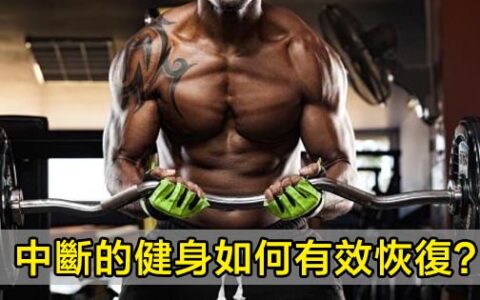 假如已經幾天沒去訓練，那可以怎樣恢複呢？