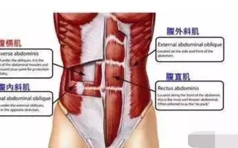 "難道這是你以為的“腹肌撕裂”？"