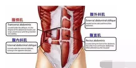 "難道這是你以為的“腹肌撕裂”？"