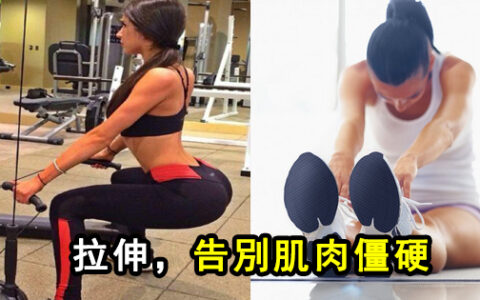 運動後告別肌肉僵硬 全身基本拉伸GIF