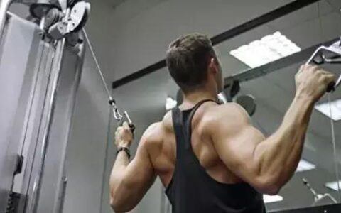 5個動作練出背部肌肉，拒絕駝背、高低肩！