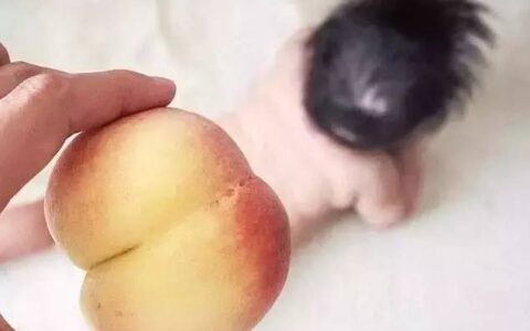 性感蜜桃臀練出來，虐臀多方位多角度很全面！