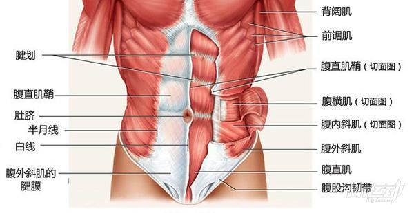 10個動作無死角練腹肌！全角度每塊腹肌都練到了