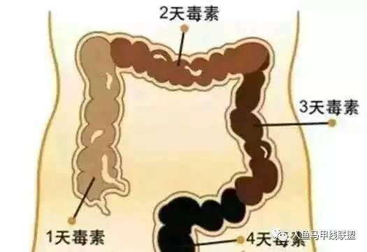 "為什麼虐腹已久的你，還是沒有瘦下來呢？"