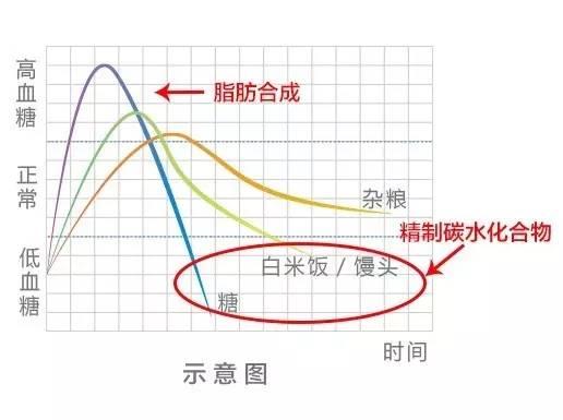 "吃得對，減肥才事半功倍！容易胖又容易餓的你必須了解這條曲線！"