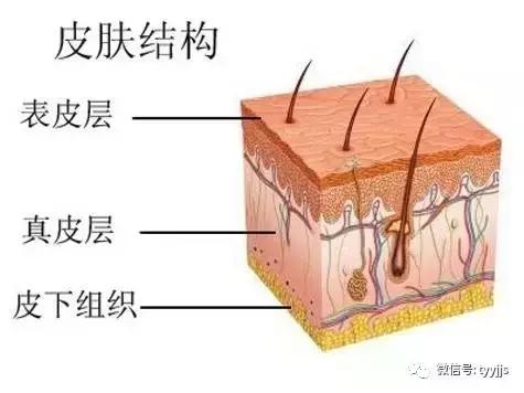 "健身人的手上為什麼會有很多老繭，如何形成的？"