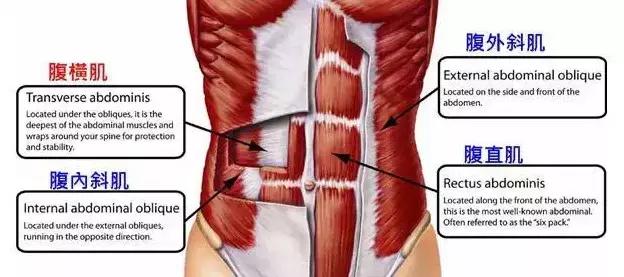 “卷腹”究竟比“仰臥起坐”強在哪兒？