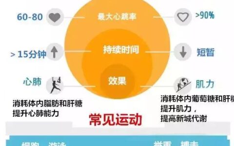 "有氧運動與無氧運動，哪個更能減肥？"