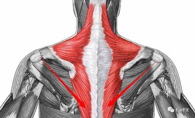 发达的斜方肌是力量的视觉冲击！斜方肌锻炼抓住一个字