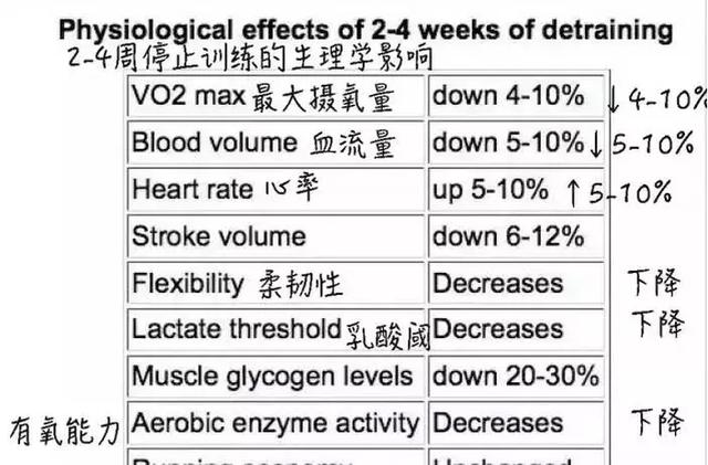 "範迪塞爾：我真的只是胖著玩玩"