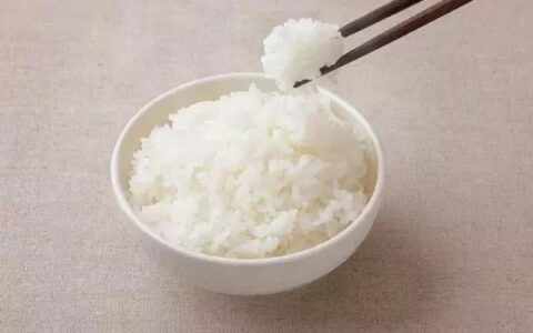 主食這麼吃就不會胖，還能瘦下來！