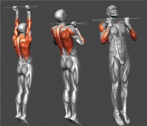 如何學會做引體向上？從0個到10個的突破！