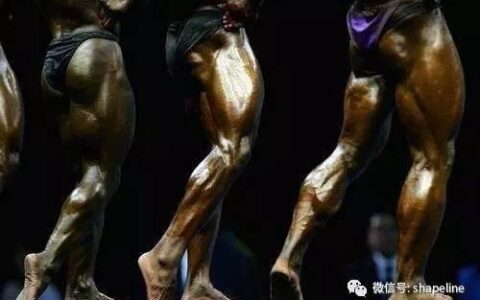 訓練小腿肌肉，“站姿提踵”與“坐姿提踵”有區別嗎？