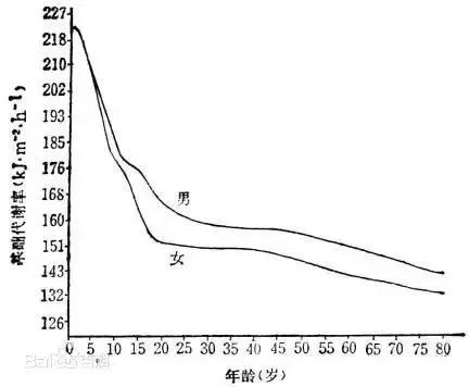 身體代謝快的人不容易胖！如何提高基礎代謝？