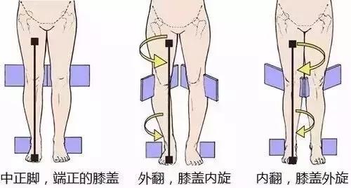 你並不是真的腿短，糾正“假胯寬”擁有逆天大長腿！