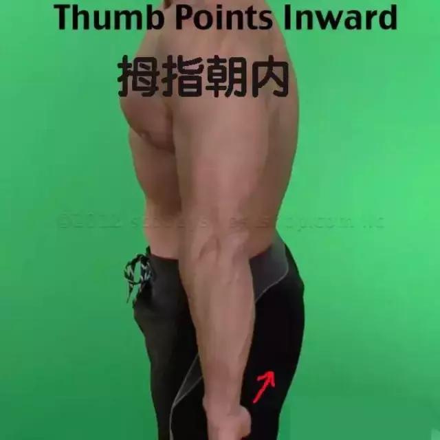 只練胸不練背，遲早含胸又駝背！