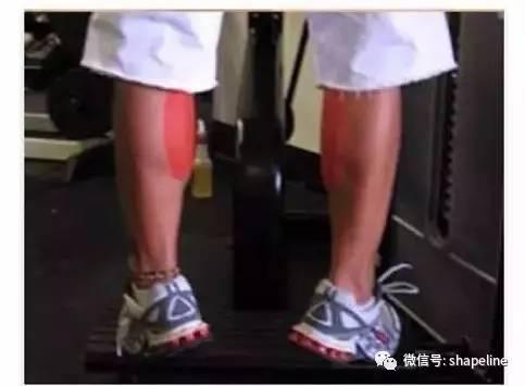 訓練小腿肌肉，“站姿提踵”與“坐姿提踵”有區別嗎？