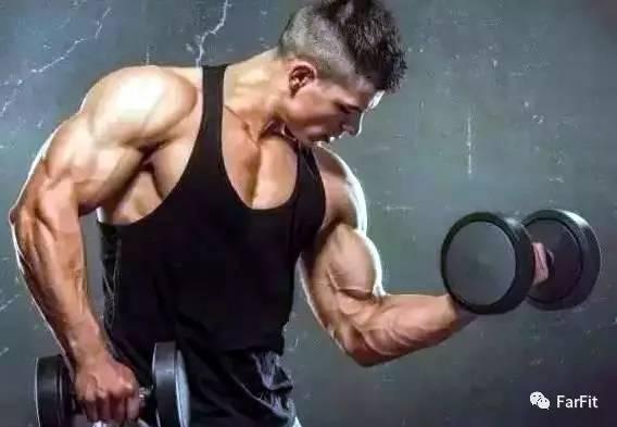 5個爆發力強的手臂圍度增粗訓練，強力塑造手臂肌肉線條