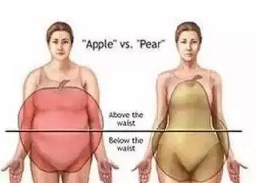 拯救女生“梨型身材”，專治下半身肥胖的訓練動作！