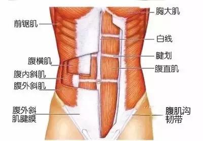 練腹9大忌：為什麼你的腹肌一直在冬眠？