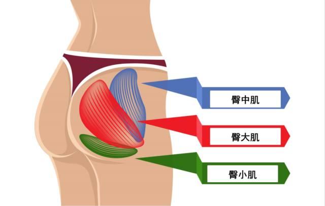 一組動圖訓練，讓你的臀部翹起來！