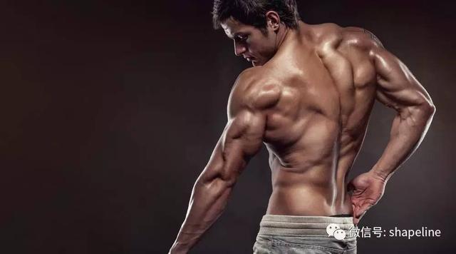 停止增肌訓練後，肌肉會掉的很誇張？