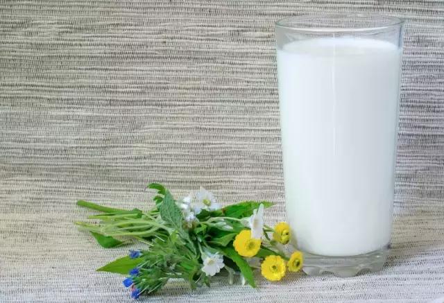 震驚！脫脂牛奶越喝越容易導致發胖？ ！