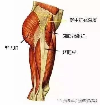 一套徒手臀腿訓練動作，擁有翹臀和大長腿！