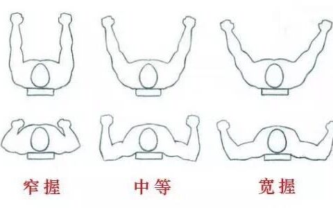 臥推時的握距到底該如何把握？