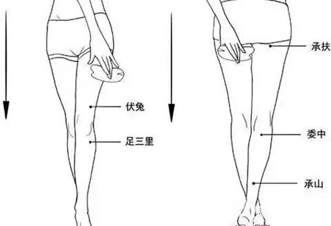 只需坚持30天，甩掉顽固肌肉型小腿！