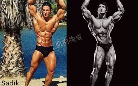 擁有“子彈肌”的男生，一抬手就迷倒一片妹子！
