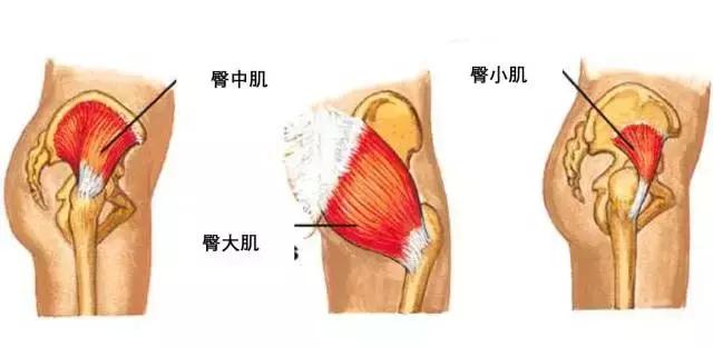 從扁平臀到蜜桃臀，我只用了60天……效果絕對真實！