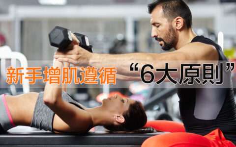 新手增肌遵循6大原則，鍛鍊3個月抵別人半年效果！