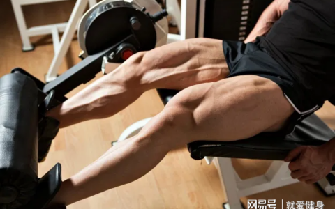 重拳出擊！使人雄起的練腿日訓練法則