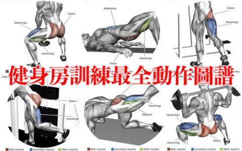 健身房訓練最全動作圖譜，覆蓋身體每個部位！