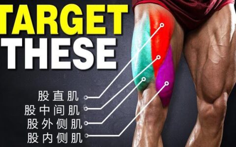 大腿肌肉訓練動作：槓鈴前蹲，針對股四頭肌，強壯大腿提高代謝率