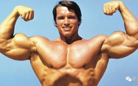 傳奇勵志人生，「最強男人」施瓦辛格！