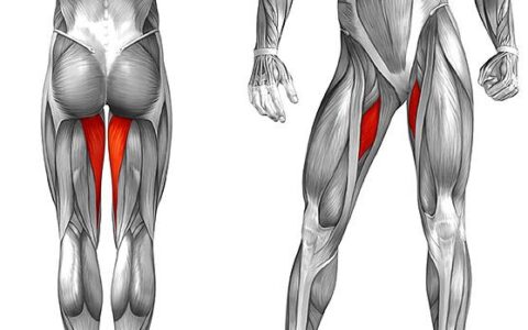 4個髖關節內收練習，減掉大腿內側贅肉，美化腿部線條瘦大腿塑型