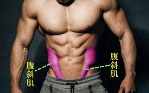 腹部兩側肌肉練不好？做好這5個動作，幫你練出完美人魚線