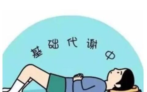 如何高效減肥？提高基礎代謝是關鍵，注意4點讓減肥事半功倍