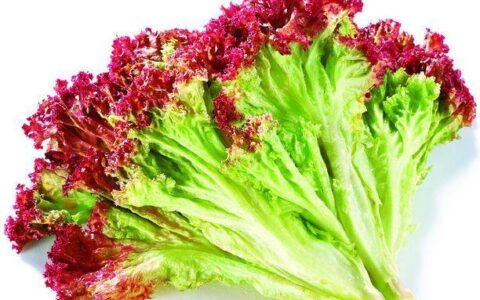 4種食物，幫助你快速減肥，當然，運動也是不可少的
